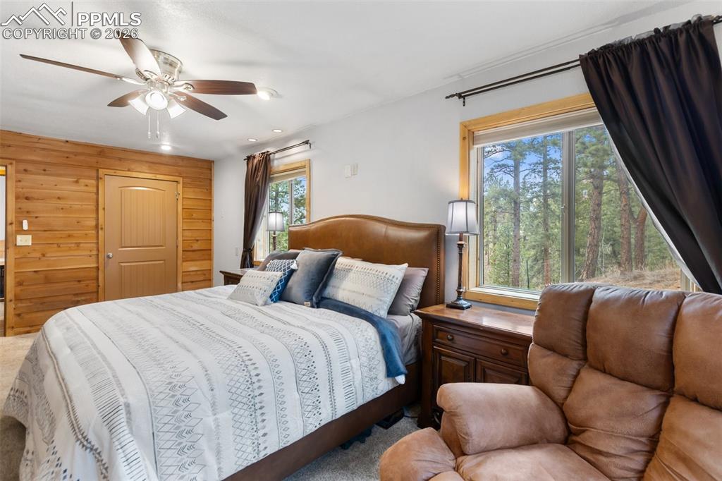 164 Spring Valley Circle Divide CO 80814