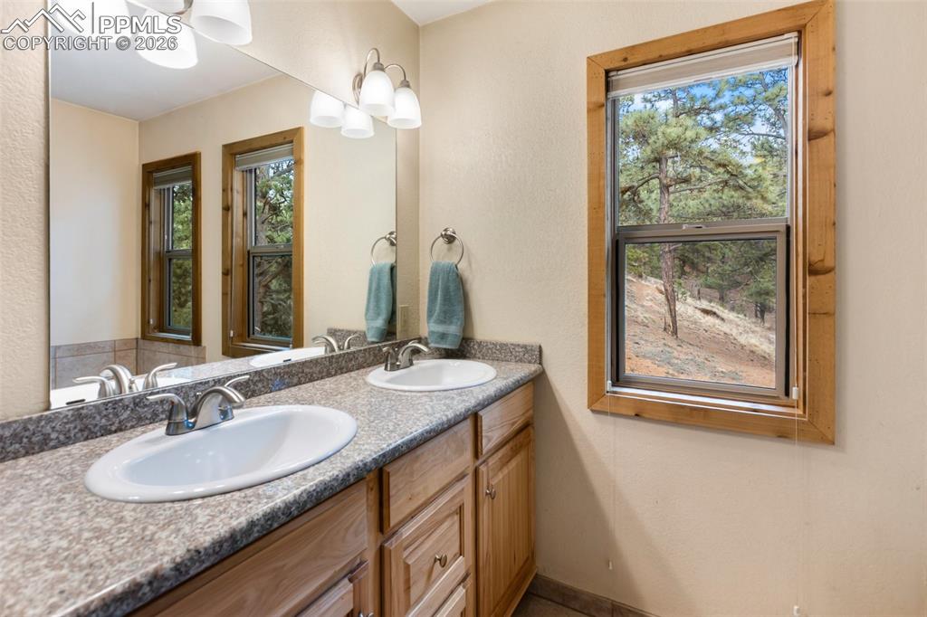 164 Spring Valley Circle Divide CO 80814