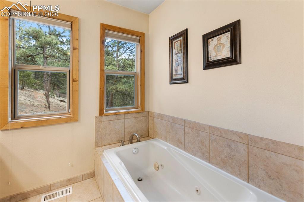 164 Spring Valley Circle Divide CO 80814