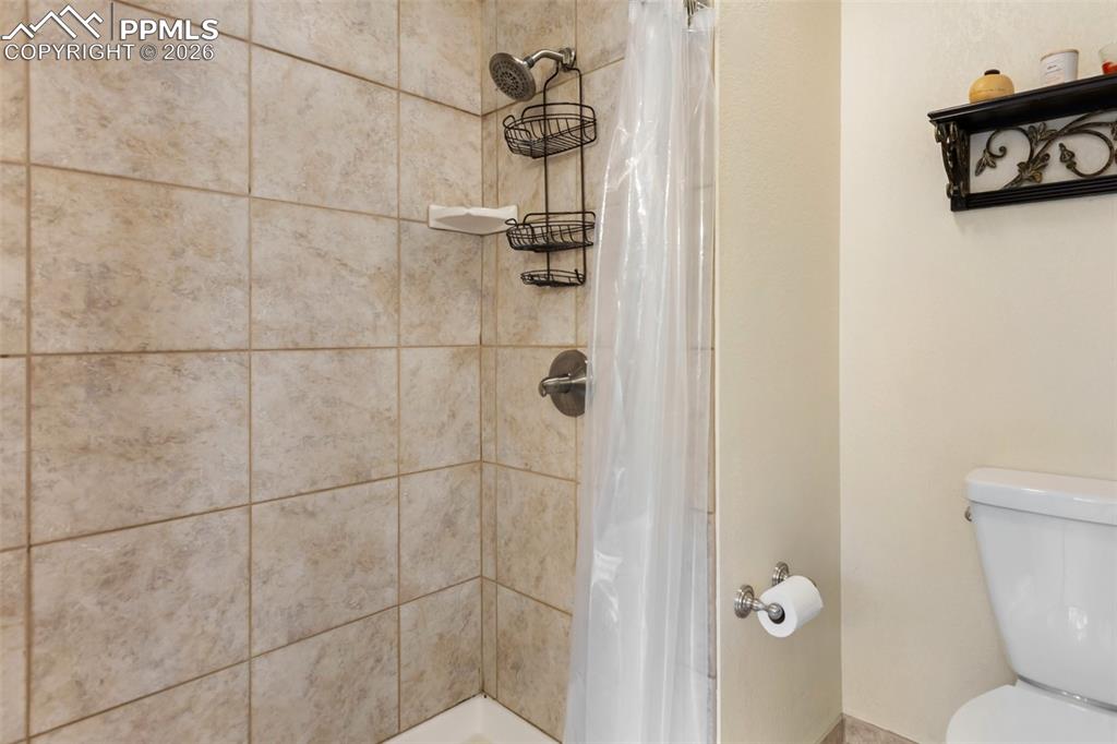 164 Spring Valley Circle Divide CO 80814
