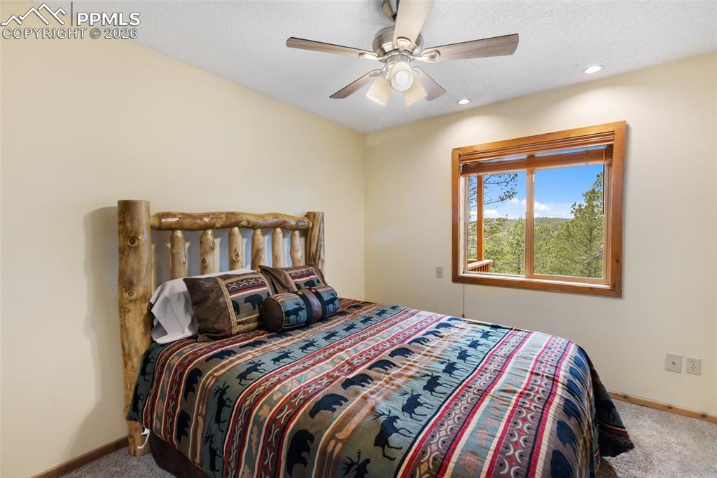 164 Spring Valley Circle Divide CO 80814