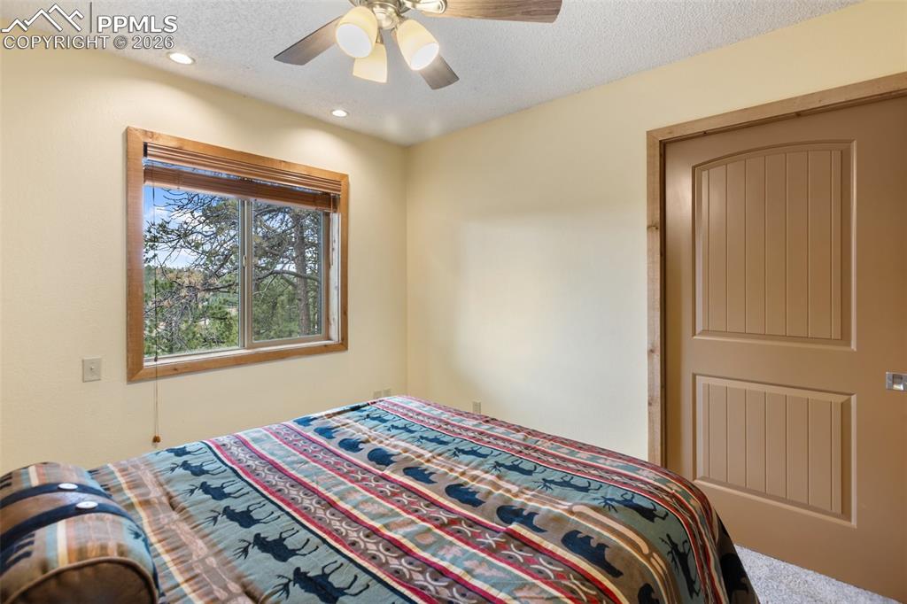 164 Spring Valley Circle Divide CO 80814