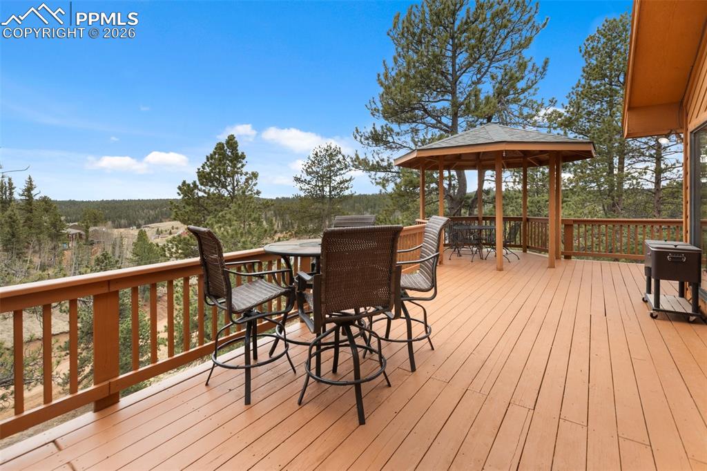 164 Spring Valley Circle Divide CO 80814