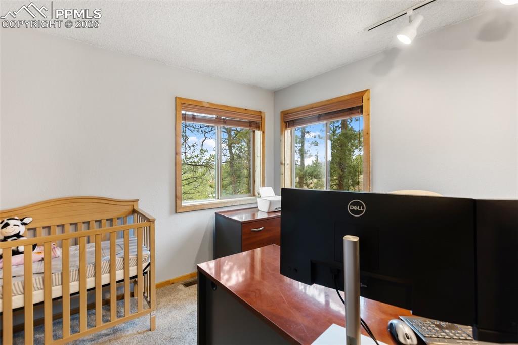 164 Spring Valley Circle Divide CO 80814