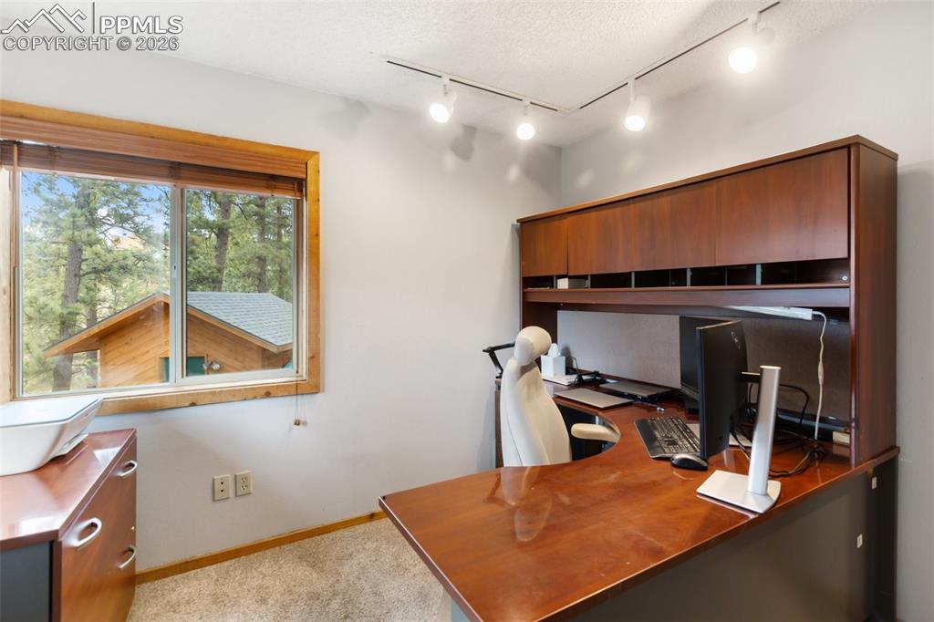 164 Spring Valley Circle Divide CO 80814