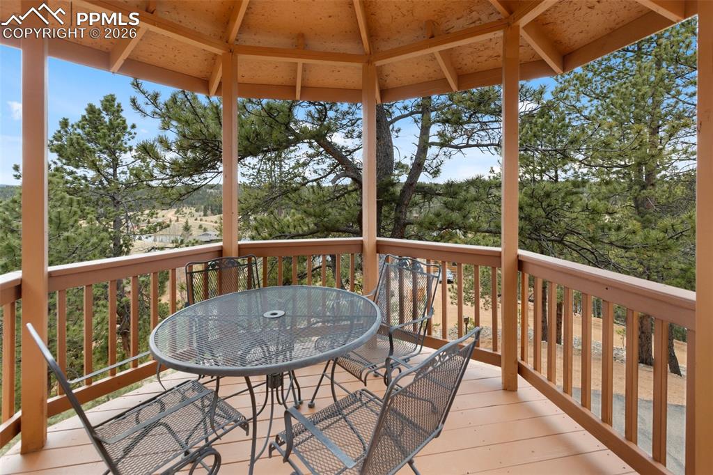 164 Spring Valley Circle Divide CO 80814