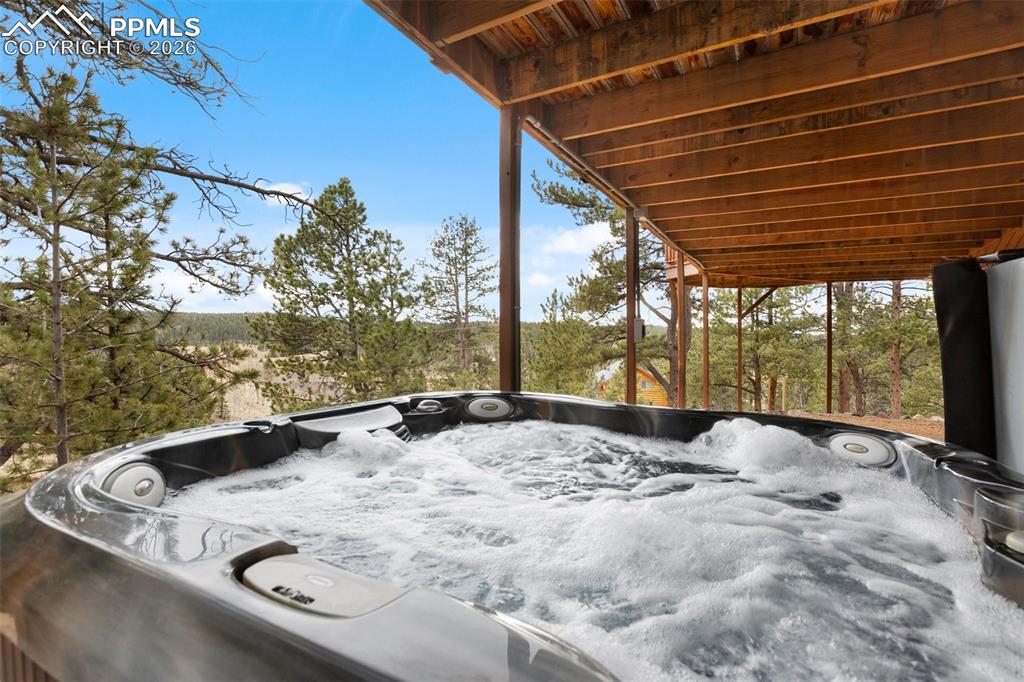 164 Spring Valley Circle Divide CO 80814