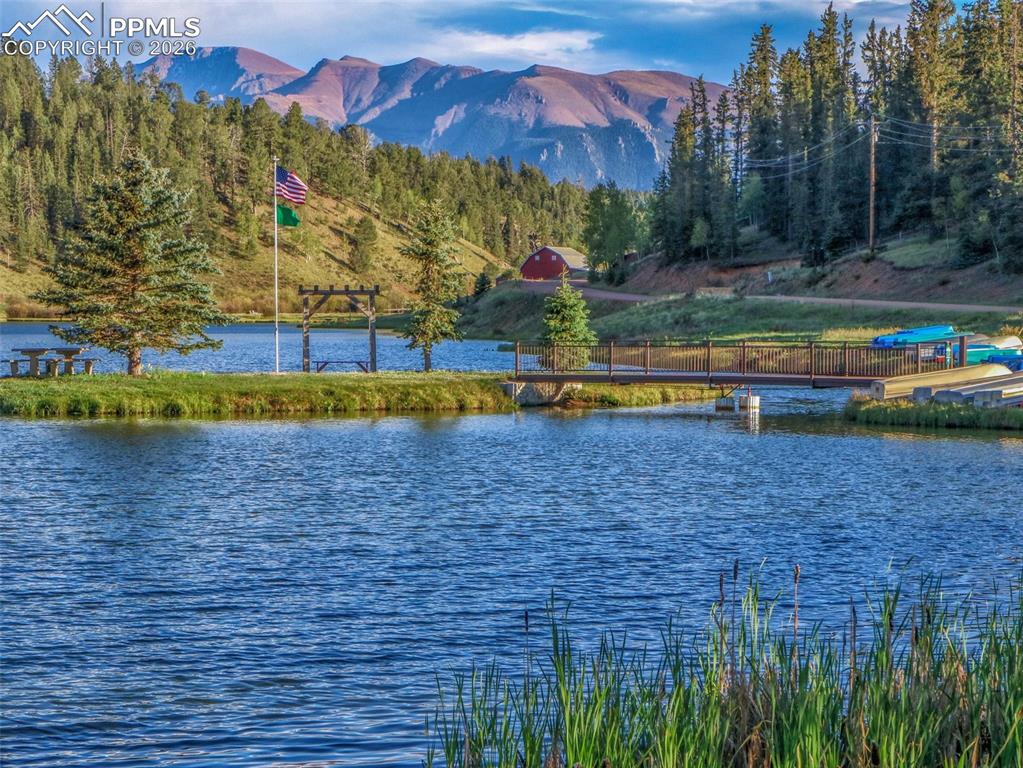 164 Spring Valley Circle Divide CO 80814