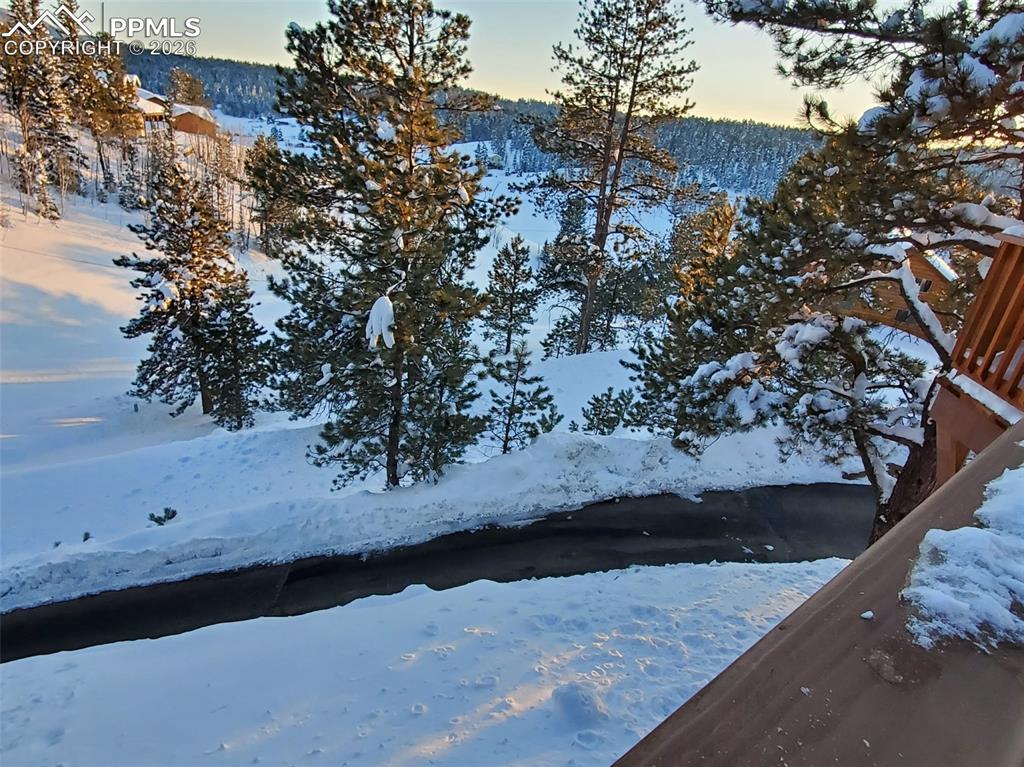 164 Spring Valley Circle Divide CO 80814