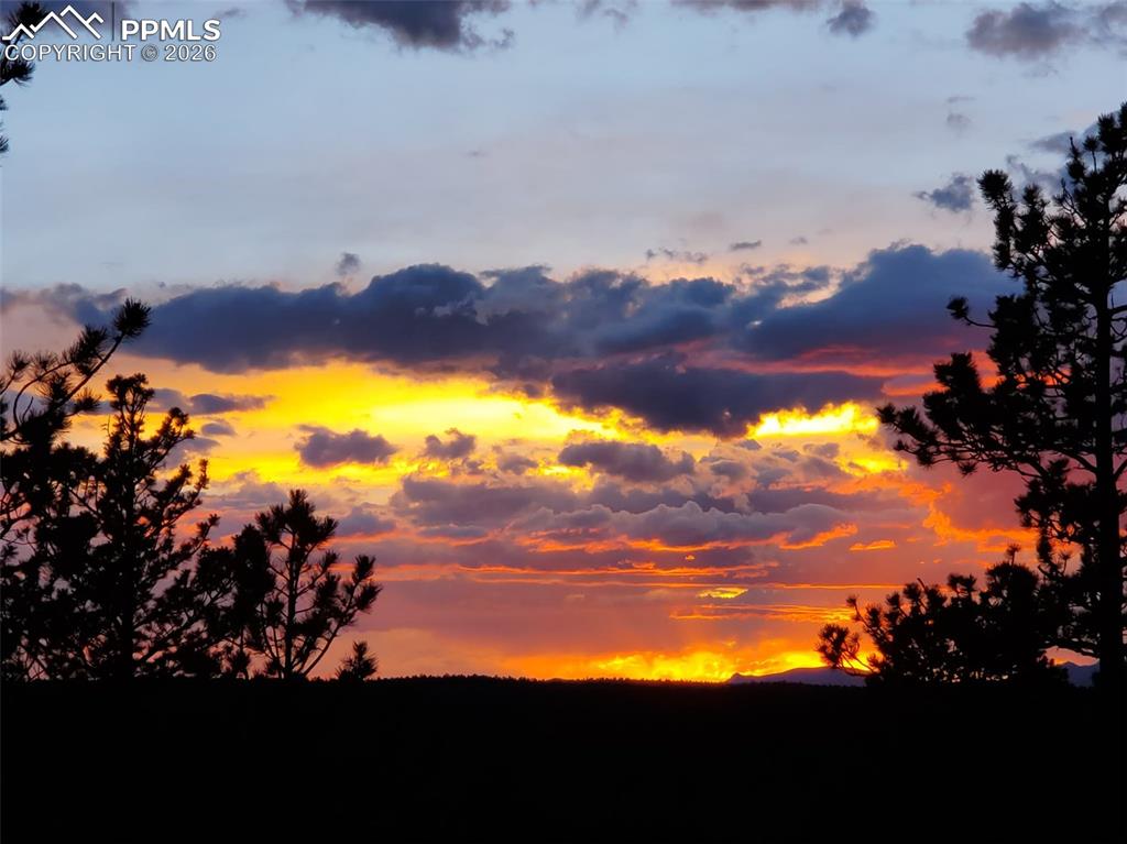 164 Spring Valley Circle Divide CO 80814