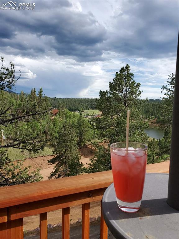 164 Spring Valley Circle Divide CO 80814