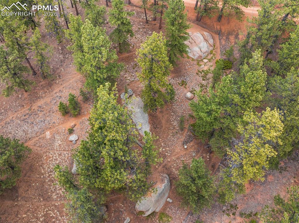 164 Spring Valley Circle Divide CO 80814