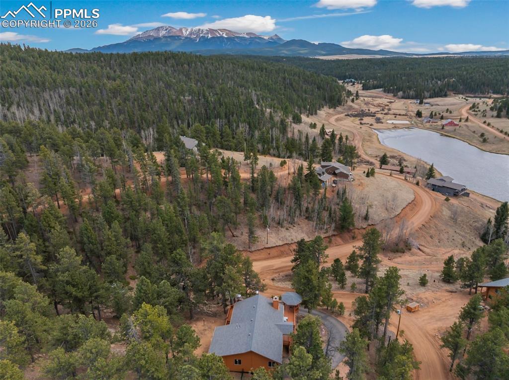 164 Spring Valley Circle Divide CO 80814