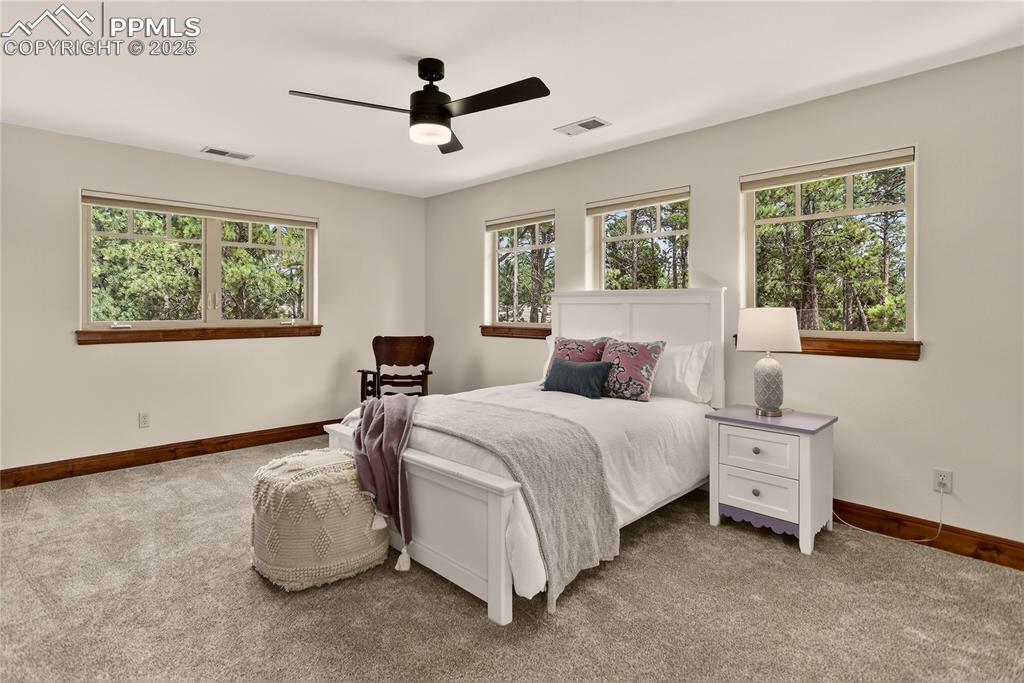 13585 Lauriston Place Colorado Springs CO 80908