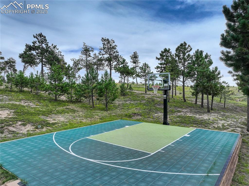 13585 Lauriston Place Colorado Springs CO 80908