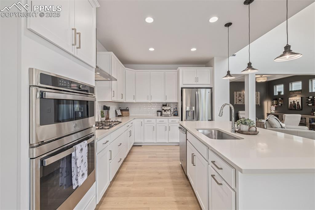 3624 Rucksack Court Castle Rock CO 80108