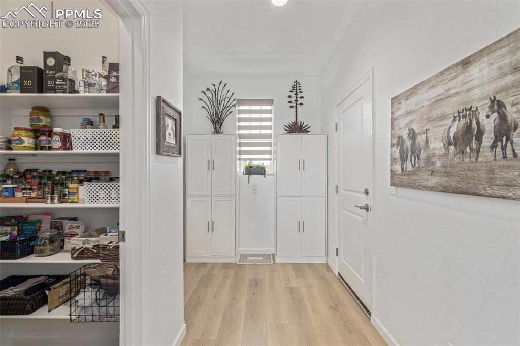 3624 Rucksack Court Castle Rock CO 80108