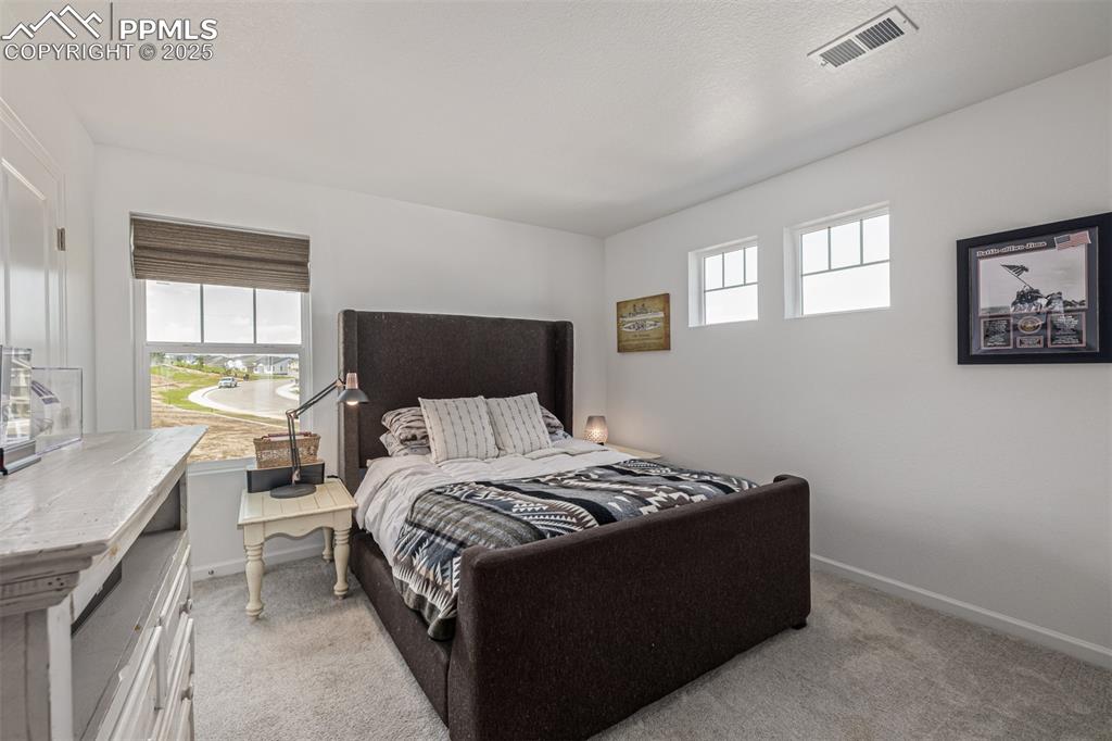 3624 Rucksack Court Castle Rock CO 80108