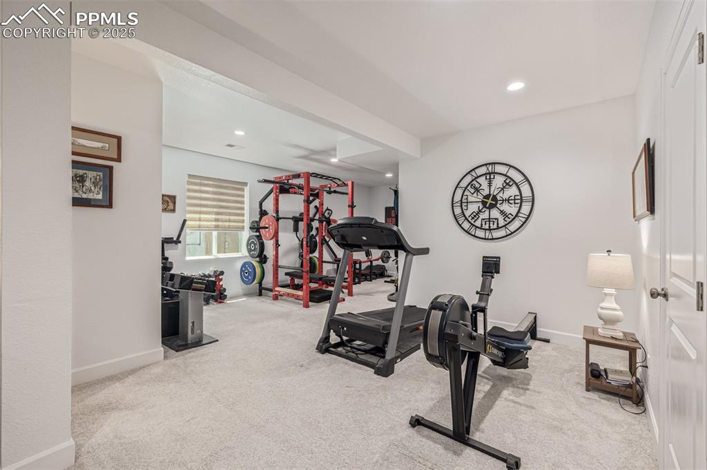 3624 Rucksack Court Castle Rock CO 80108