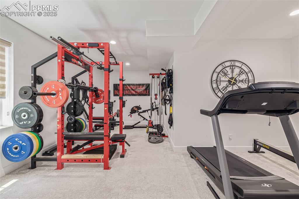 3624 Rucksack Court Castle Rock CO 80108