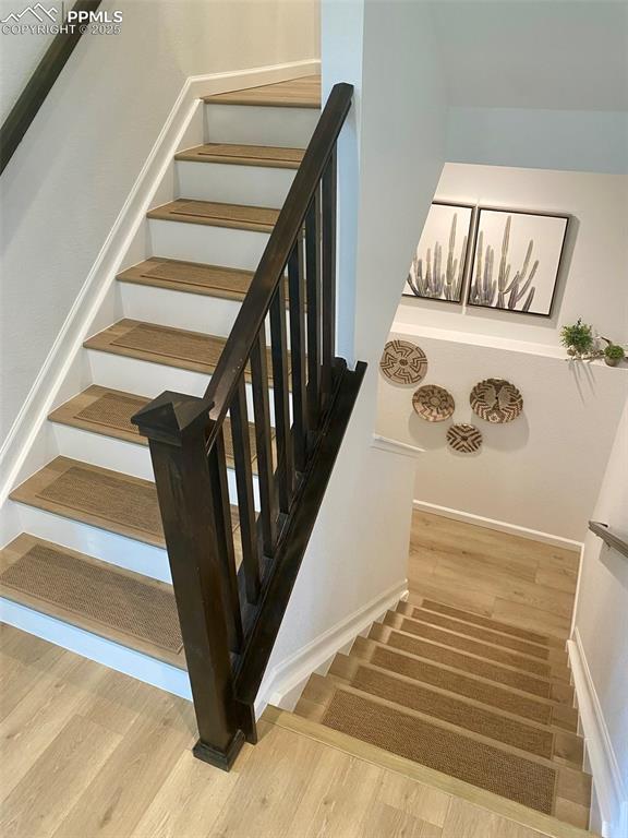 3624 Rucksack Court Castle Rock CO 80108