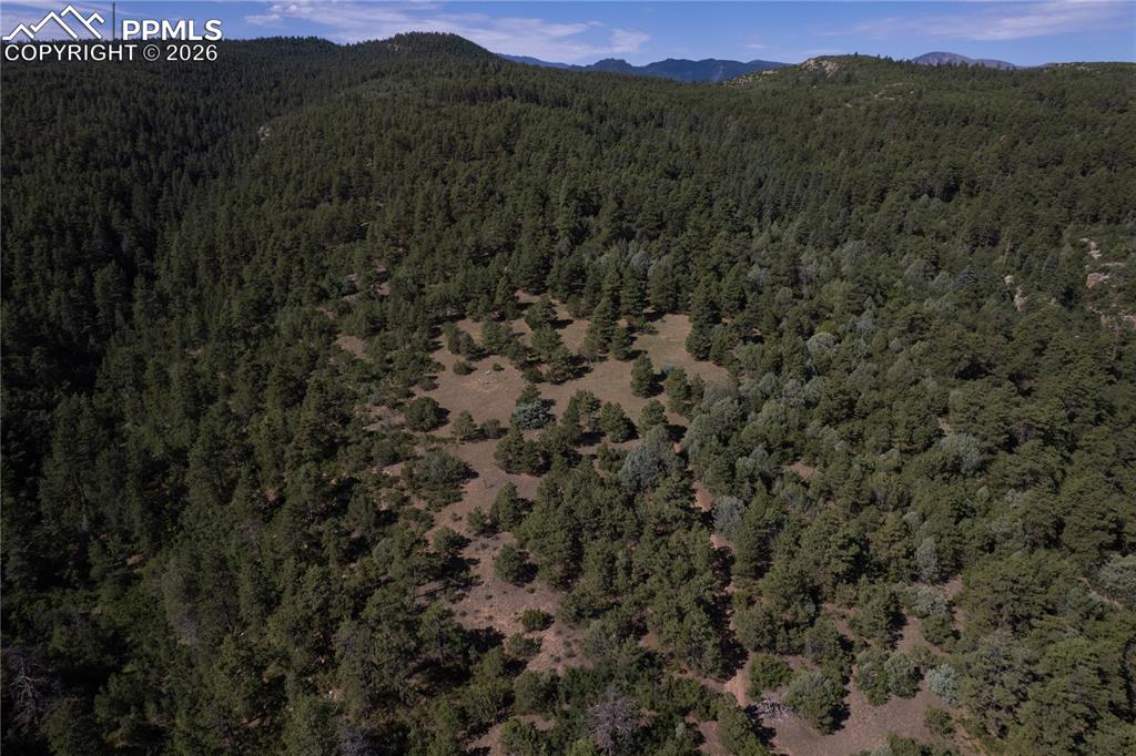 8716 National Forest Drive Beulah CO 81023