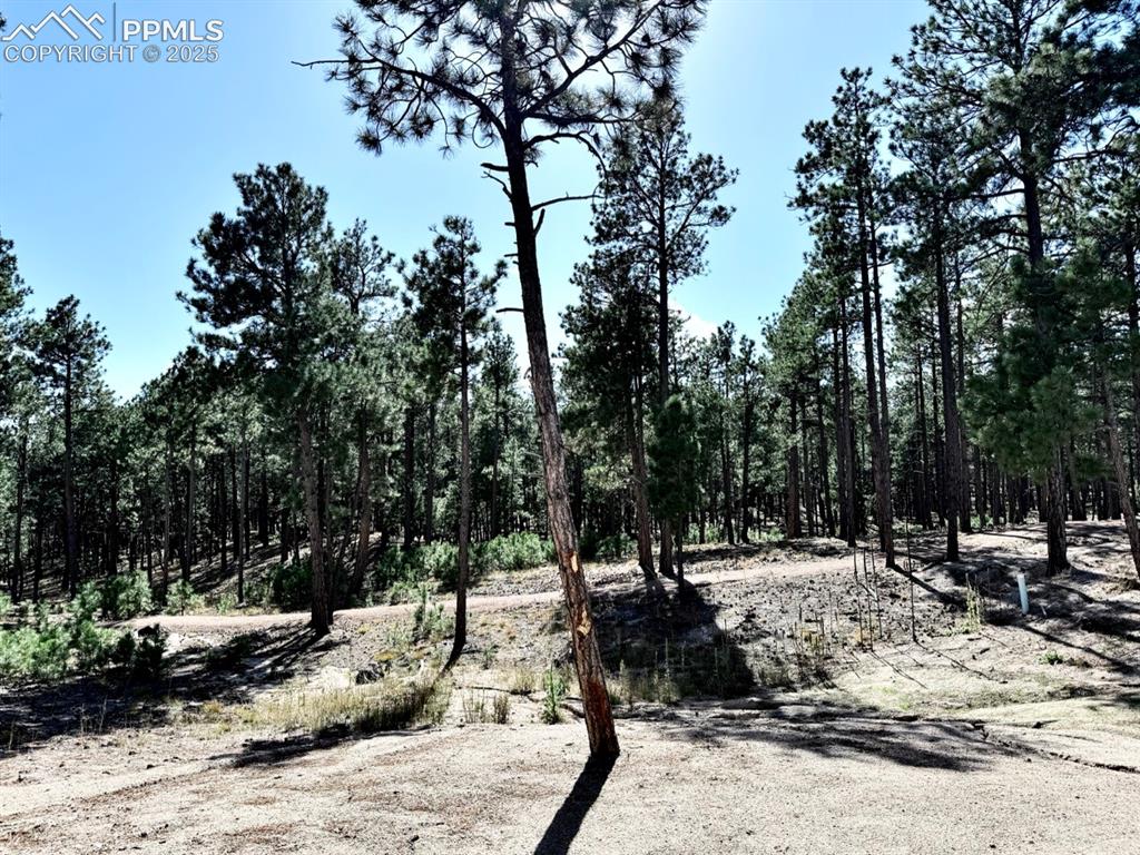 3135 Promise Point Colorado Springs CO 80921