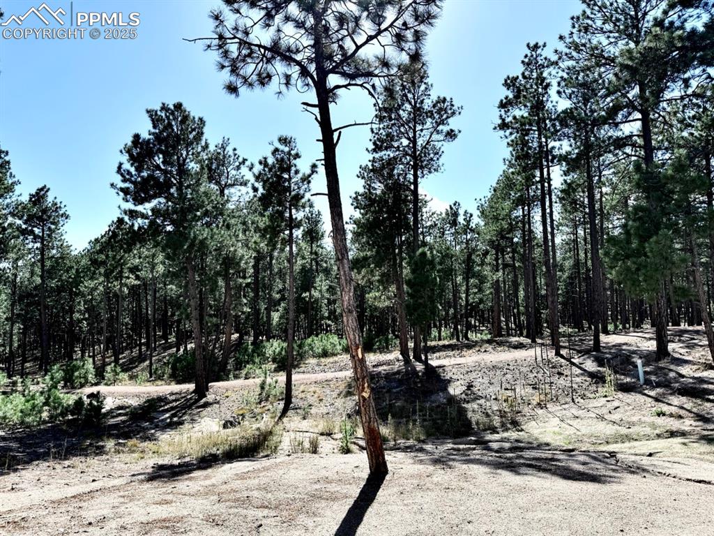 3135 Promise Point Colorado Springs CO 80921