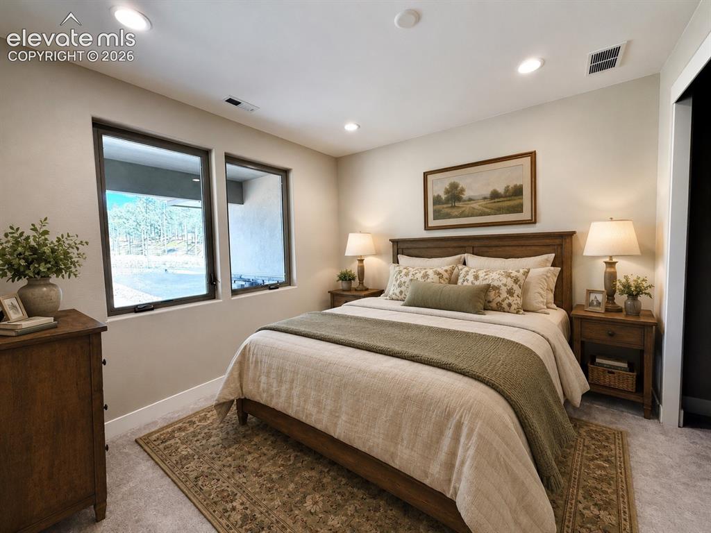 3135 Promise Point Colorado Springs CO 80921