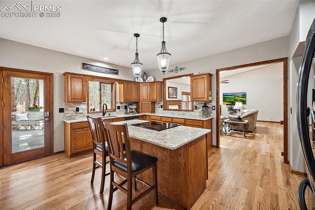 855 Pebble Creek Court Monument CO 80132