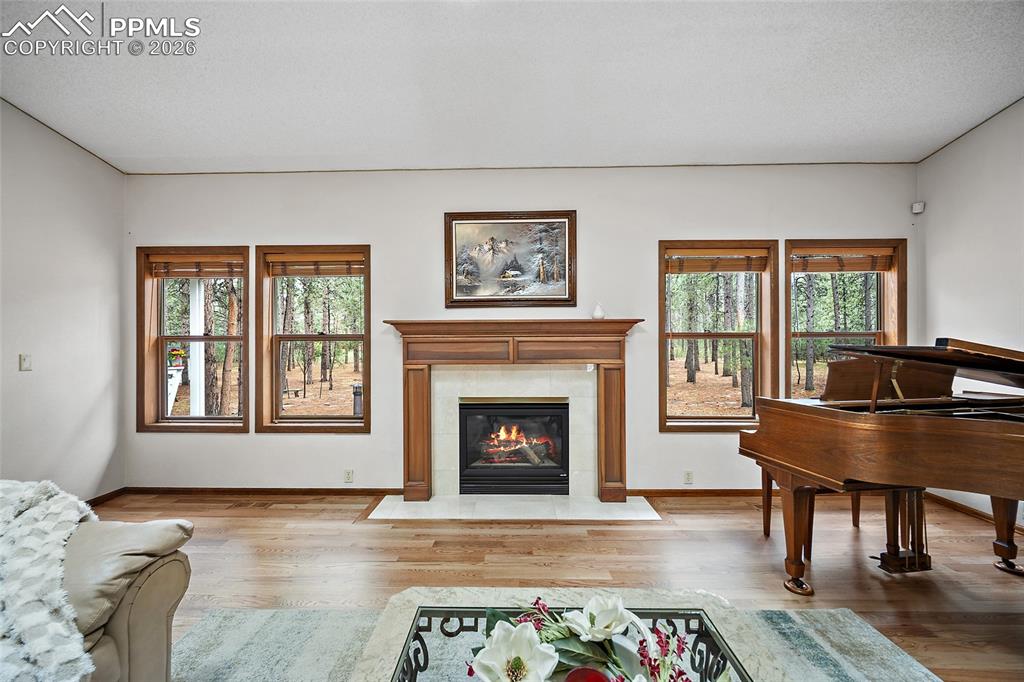 855 Pebble Creek Court Monument CO 80132