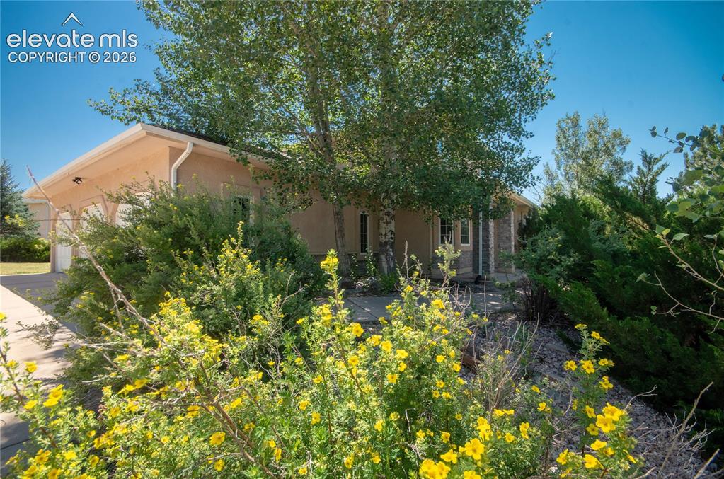 19558 Fox Trail Way Monument CO 80132