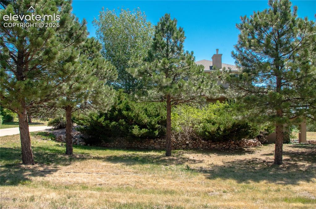 19558 Fox Trail Way Monument CO 80132