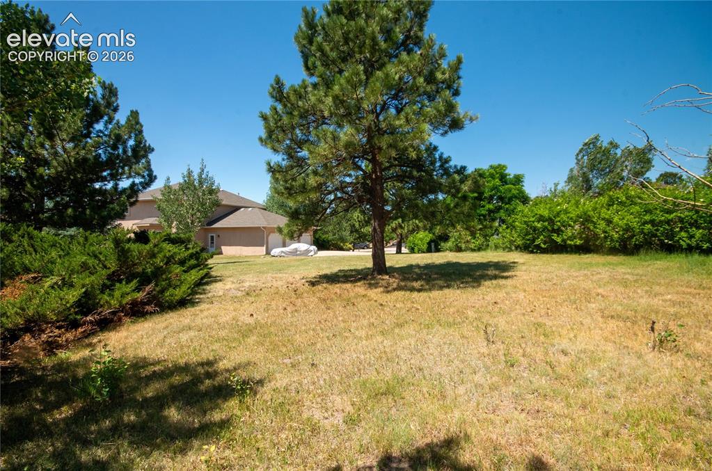 19558 Fox Trail Way Monument CO 80132
