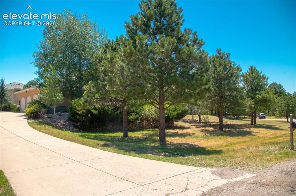 19558 Fox Trail Way Monument CO 80132