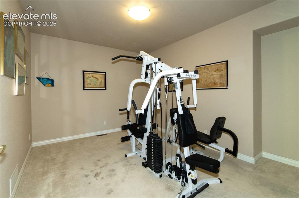 19558 Fox Trail Way Monument CO 80132