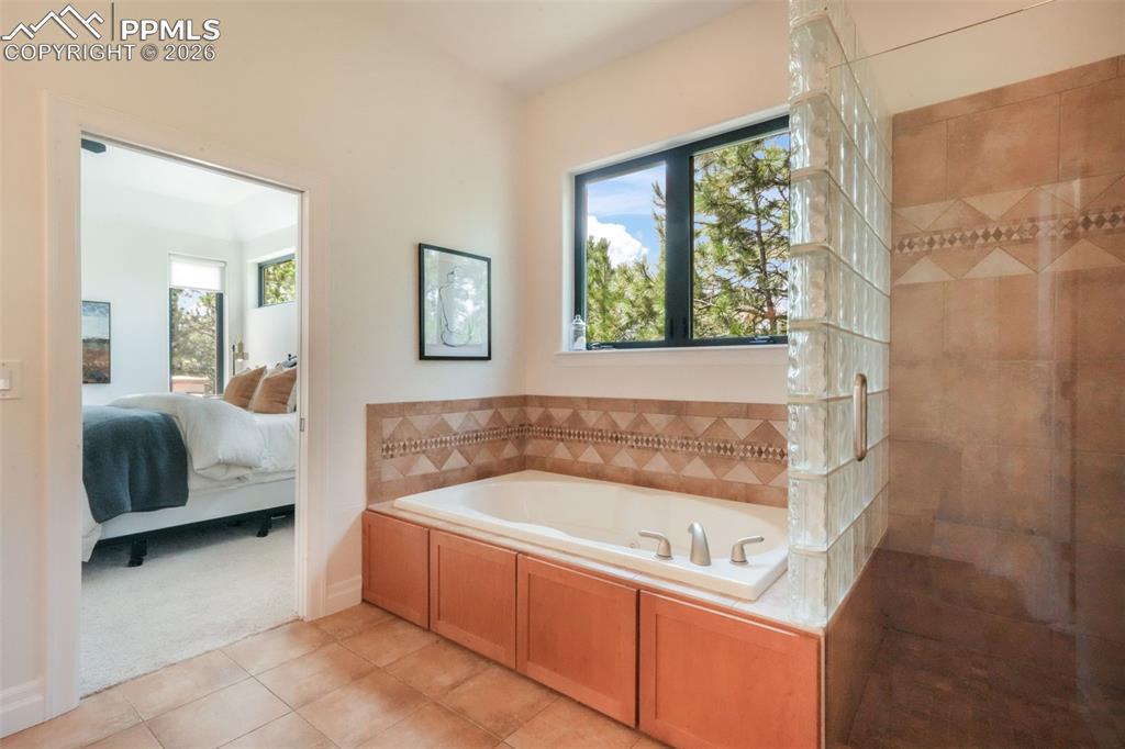 20416 Kenneth Lainer Drive Monument CO 80132