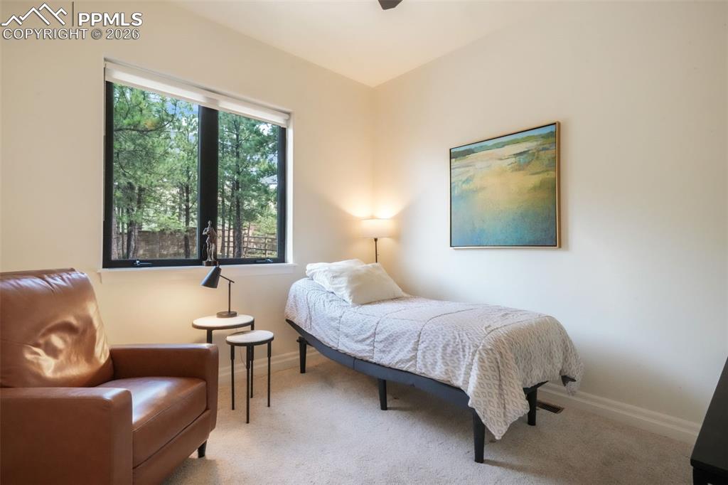 20416 Kenneth Lainer Drive Monument CO 80132