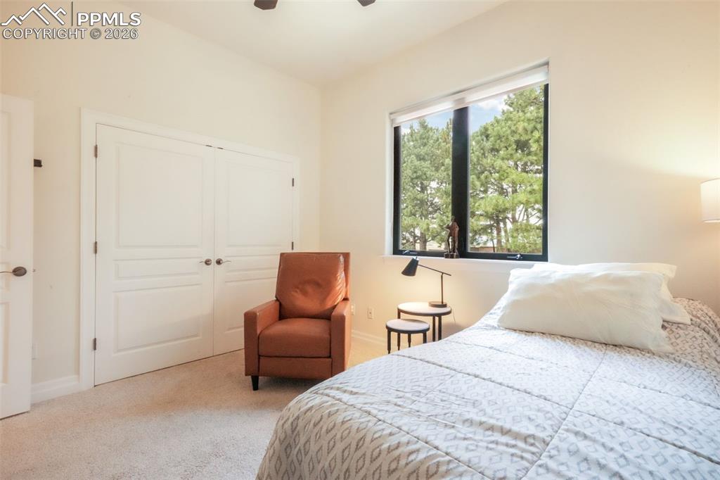 20416 Kenneth Lainer Drive Monument CO 80132