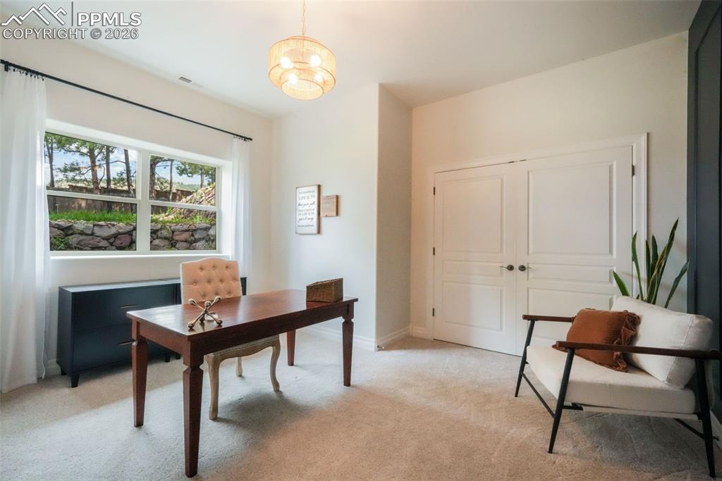 20416 Kenneth Lainer Drive Monument CO 80132