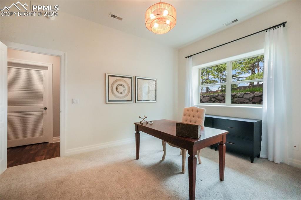 20416 Kenneth Lainer Drive Monument CO 80132