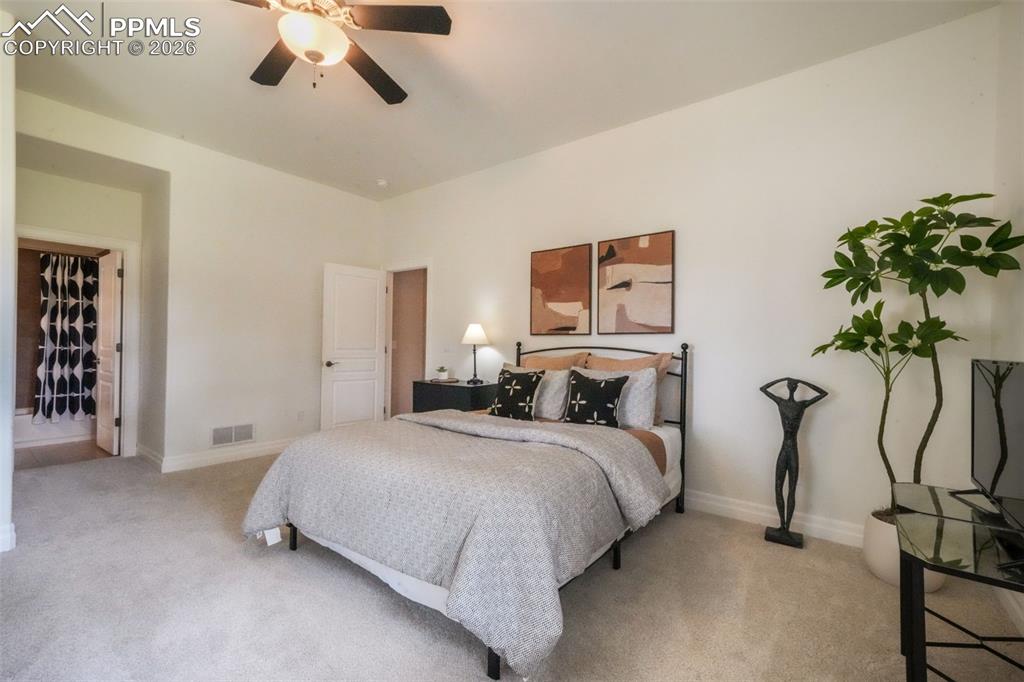 20416 Kenneth Lainer Drive Monument CO 80132