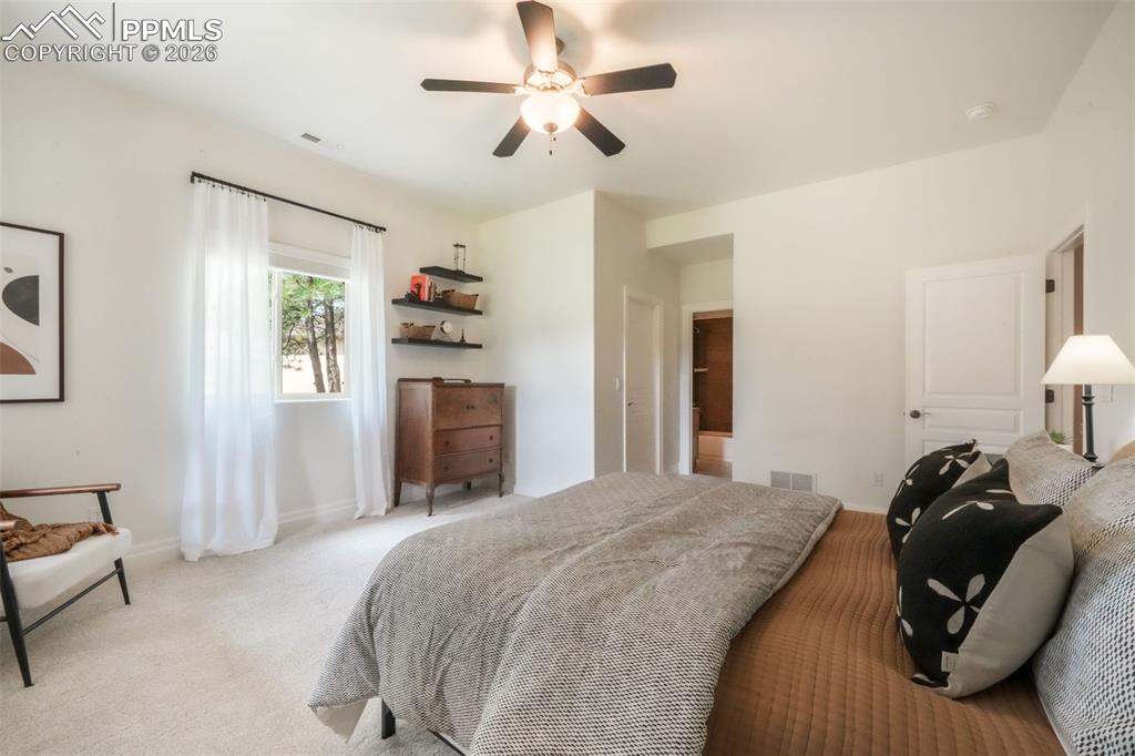 20416 Kenneth Lainer Drive Monument CO 80132