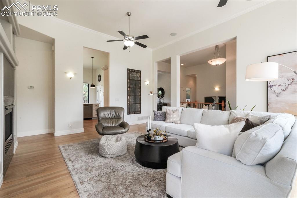 20416 Kenneth Lainer Drive Monument CO 80132