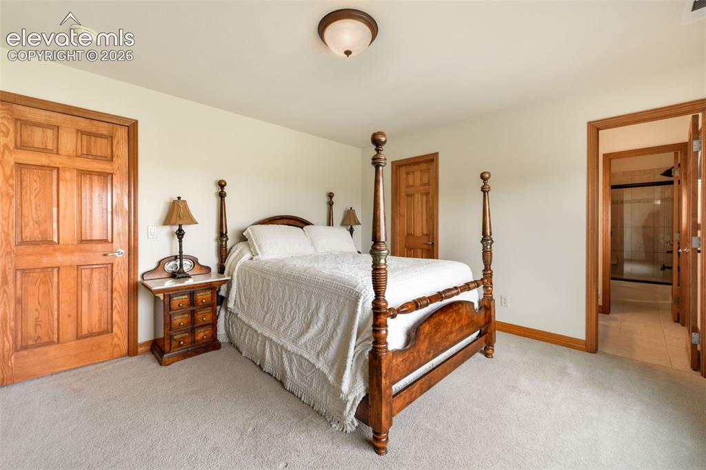 20439 Taversham Court Monument CO 80132