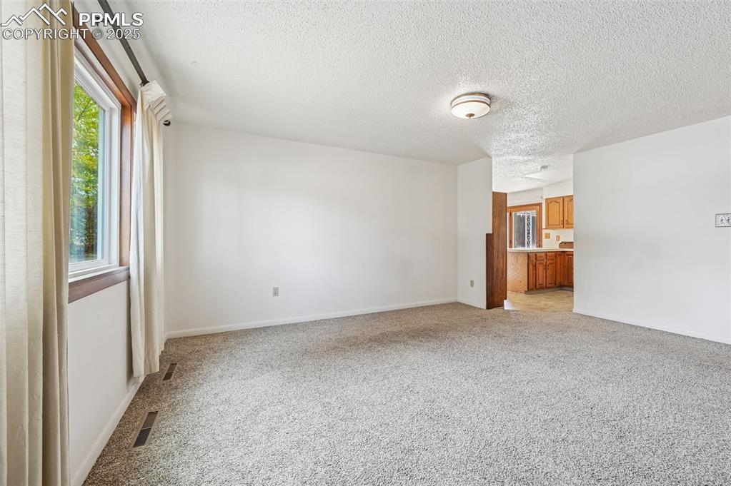 323 Maplewood Drive Colorado Springs CO 80907