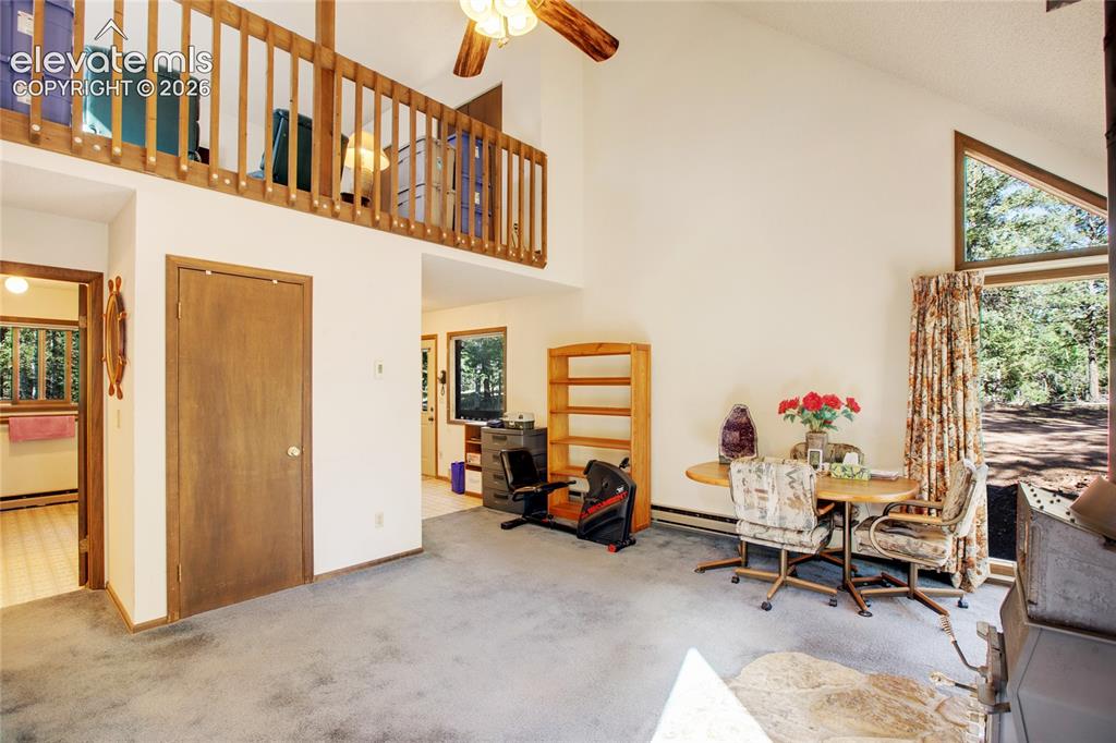 886 Cottonwood Lake Drive Divide CO 80814
