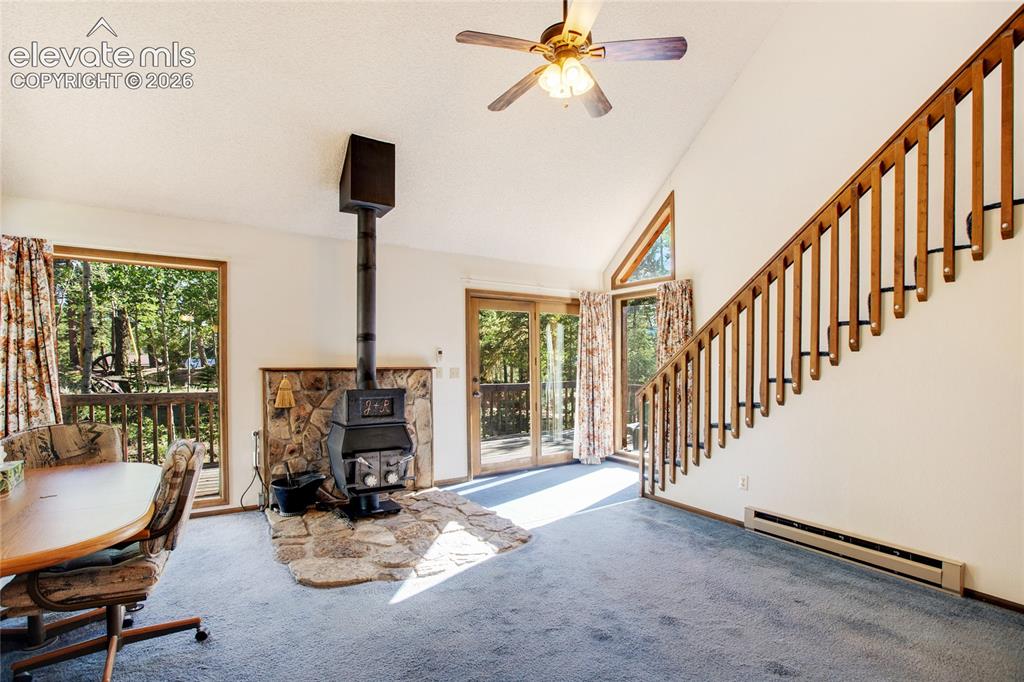 886 Cottonwood Lake Drive Divide CO 80814