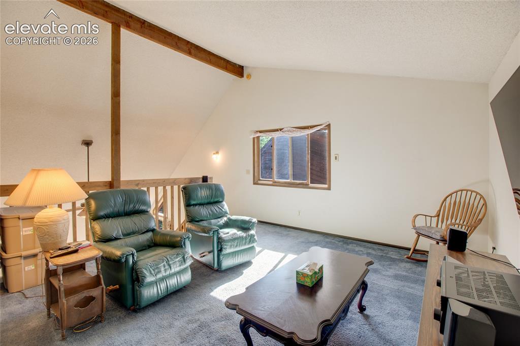 886 Cottonwood Lake Drive Divide CO 80814