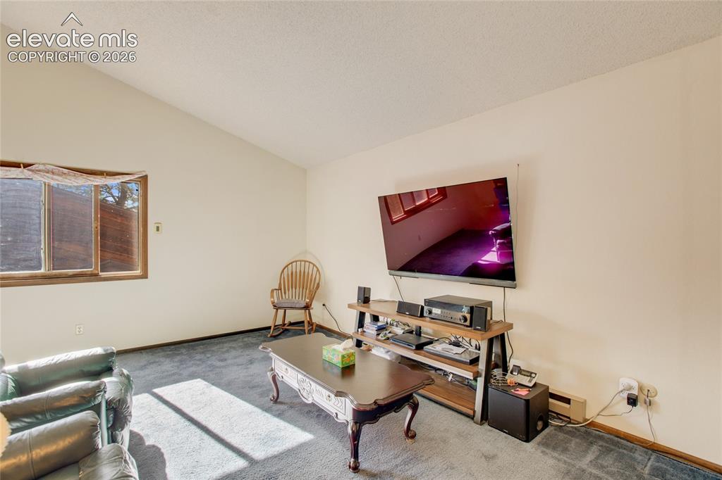 886 Cottonwood Lake Drive Divide CO 80814